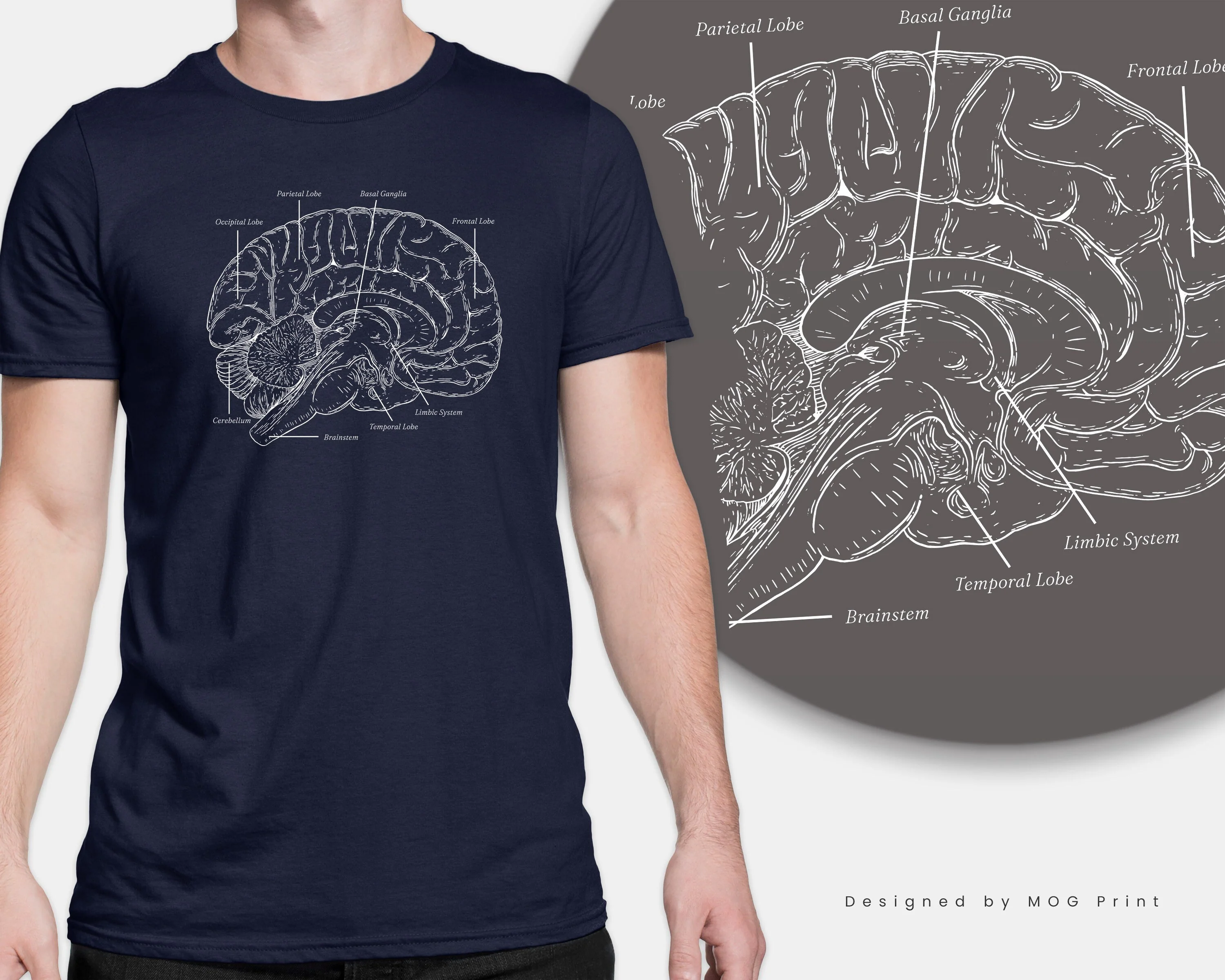 Anatomical Brain Anatomy T-Shirt Biology Neuroanatomy Medical Brain Science Gift, Tshirt for Doctor Biologist Present, Unisex Top - Image 2