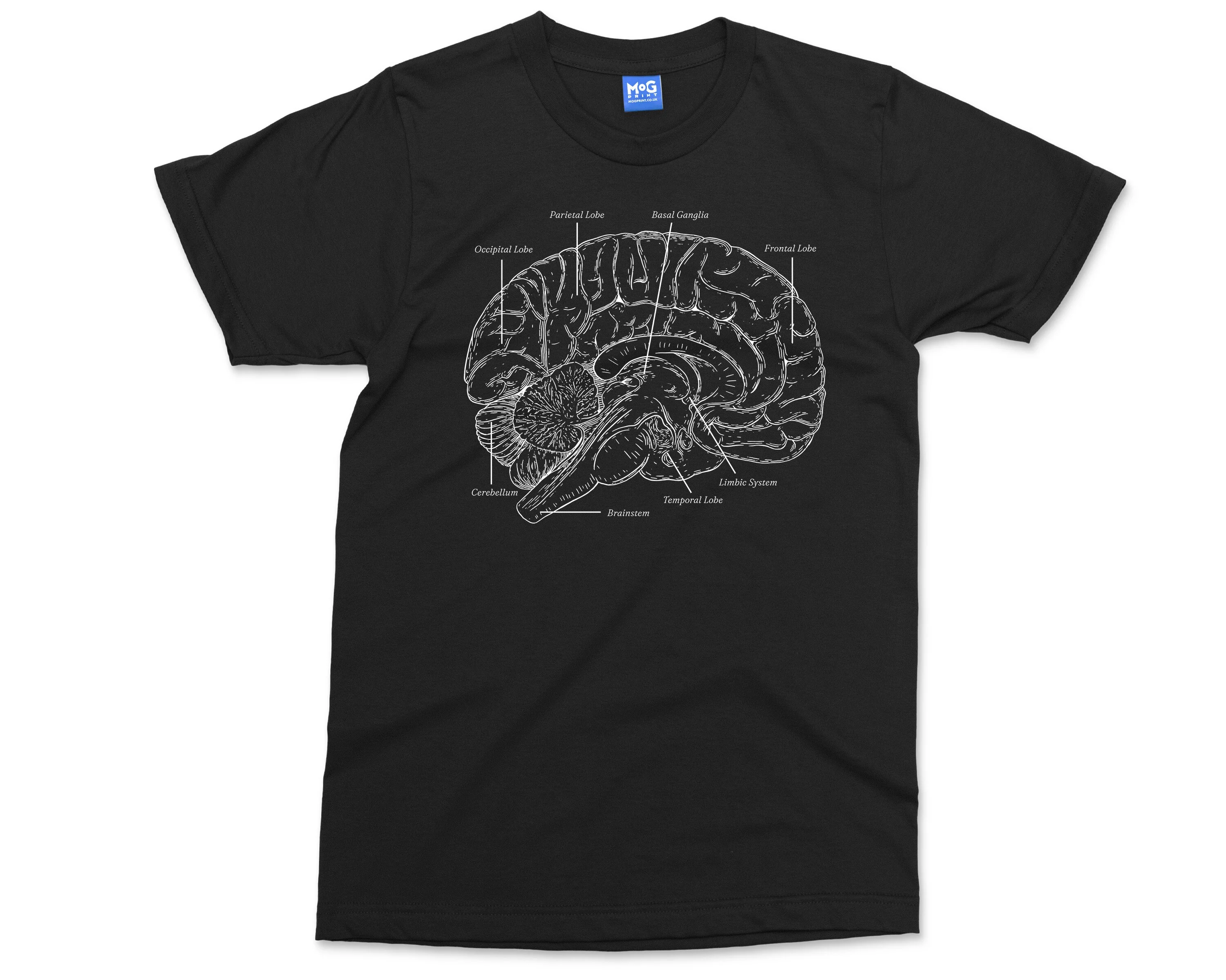 Anatomical Brain Anatomy T-Shirt Biology Neuroanatomy Medical Brain Science Gift, Tshirt for Doctor Biologist Present, Unisex Top - Image 3